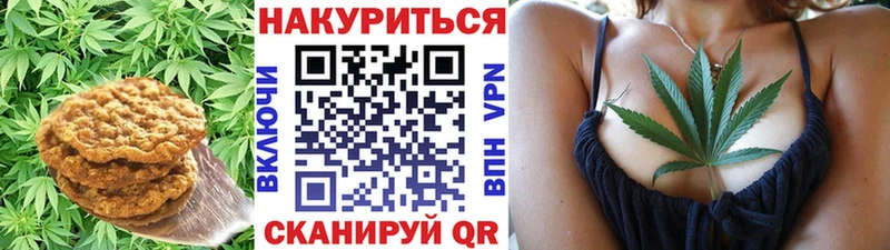 Canna-Cookies марихуана  Купить  Кондрово 