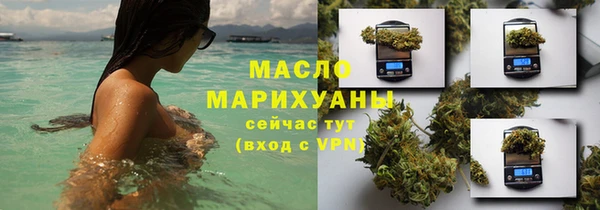 сатива Карпинск