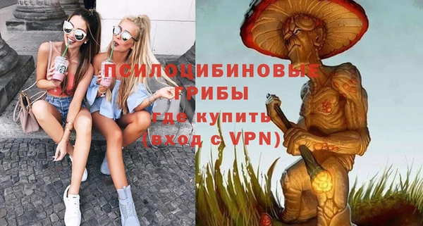 сатива Карпинск